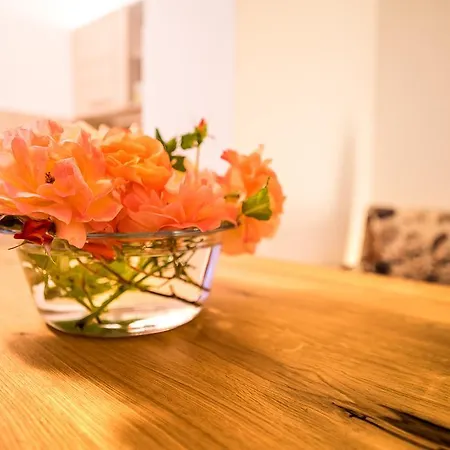 And Mare-monti Apartment Starigrad Paklenica